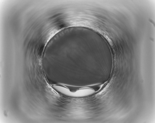 X0000093401529200711020925