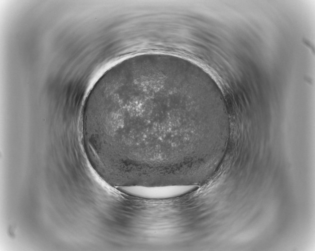 X0000093401531200711020925