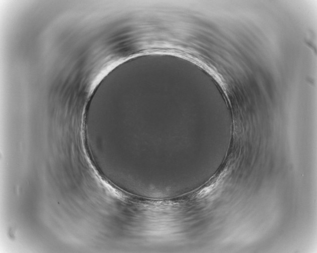 X0000093401533200711020925