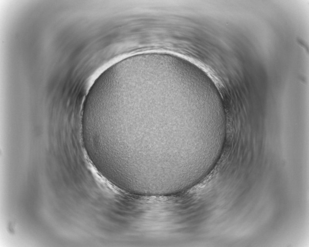 X0000093401534200711020925