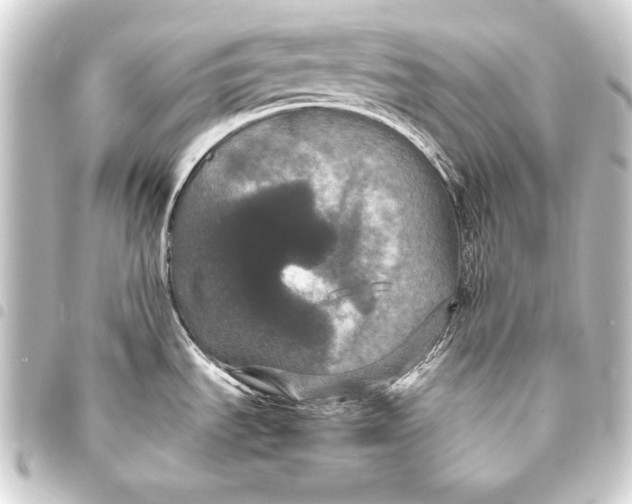 X0000093401535200711020925