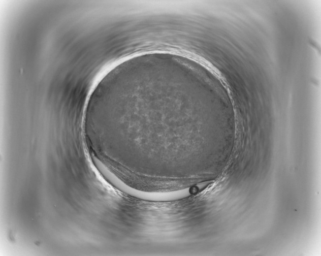 X0000093401536200711020925