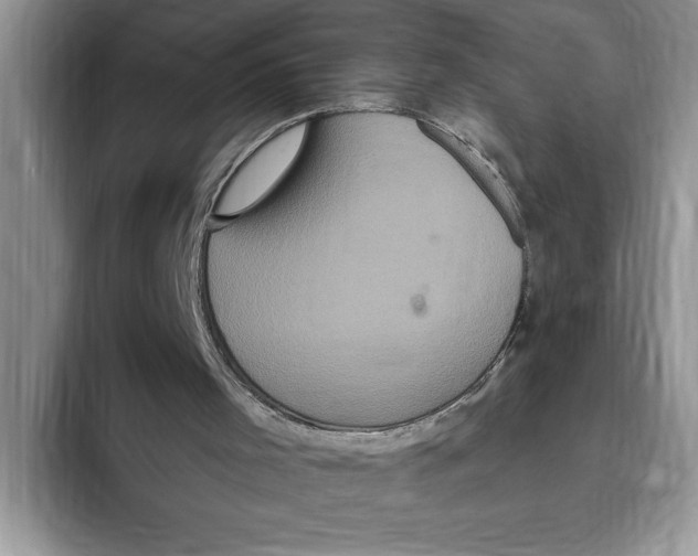 X0000093400001200711091349