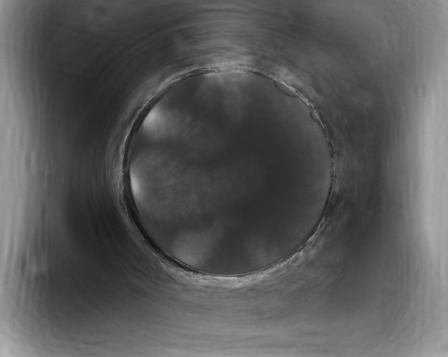 X0000093400002200711091349