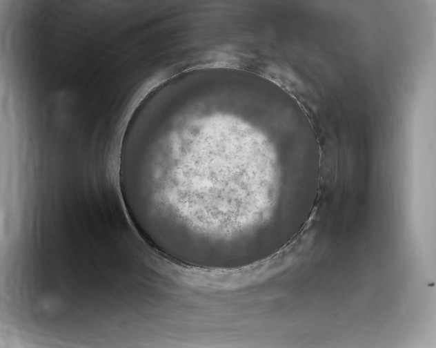 X0000093400003200711091349