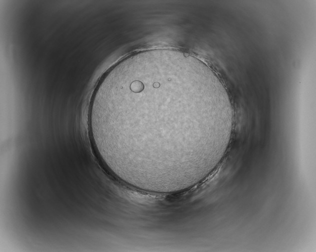 X0000093400004200711091349