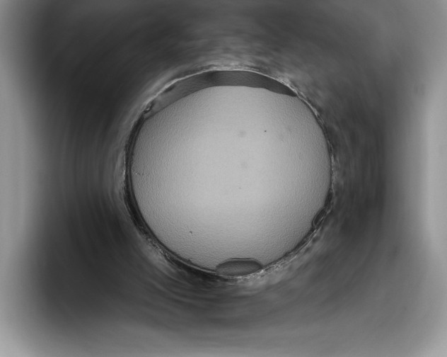 X0000093400005200711091349