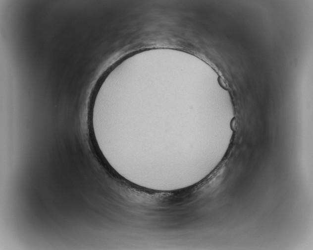 X0000093400008200711091349