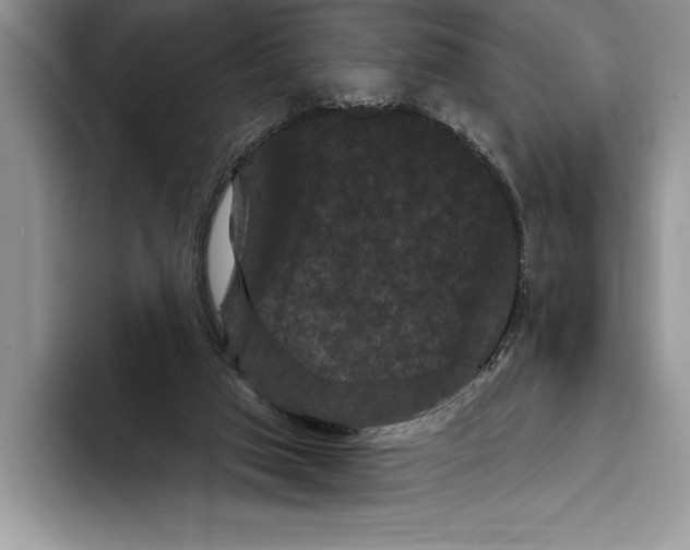 X0000093400017200711091349