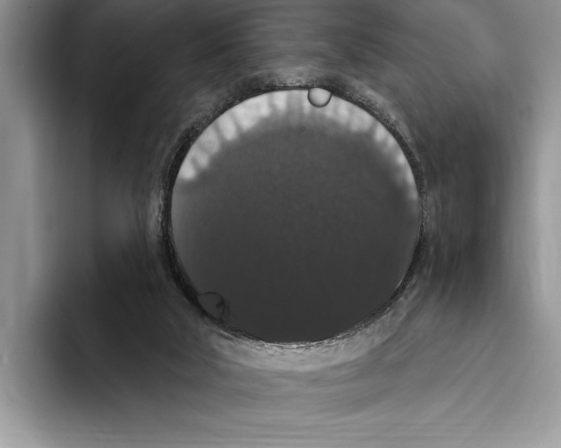 X0000093400018200711091349