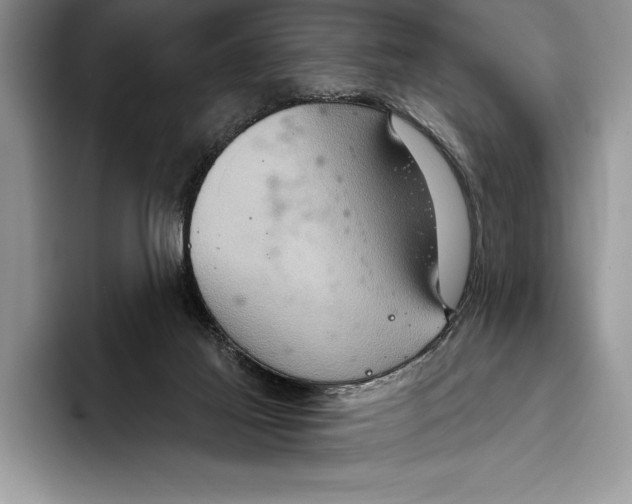 X0000093400021200711091349