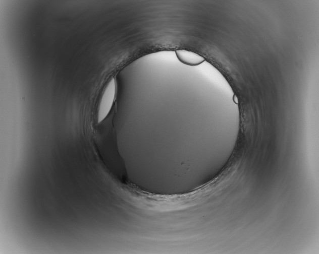 X0000093400023200711091349