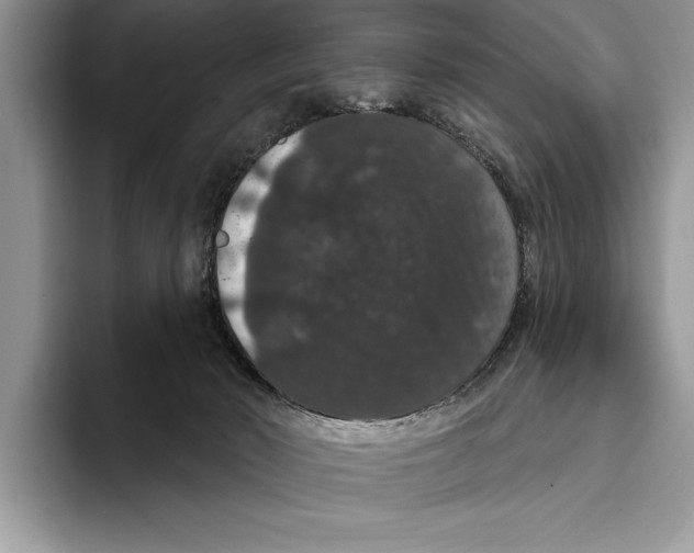 X0000093400030200711091349