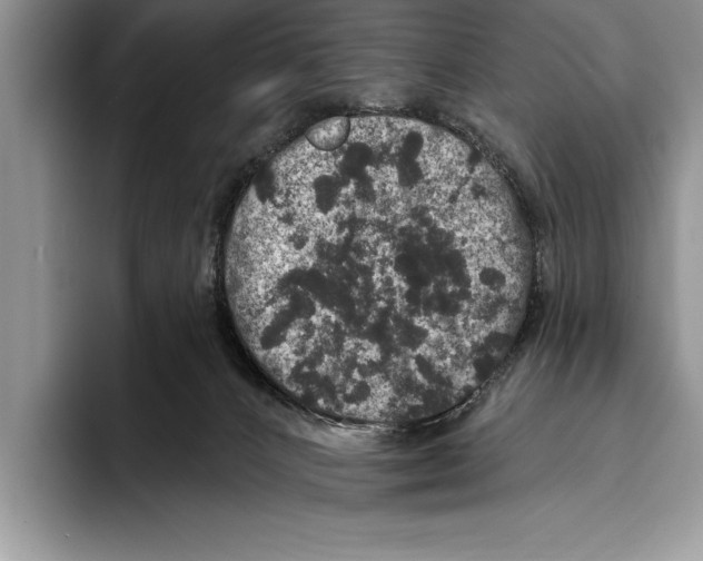 X0000093400032200711091349