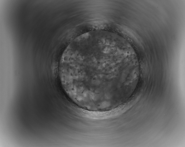 X0000093400034200711091349