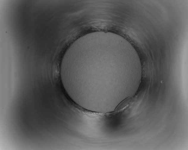 X0000093400040200711091349