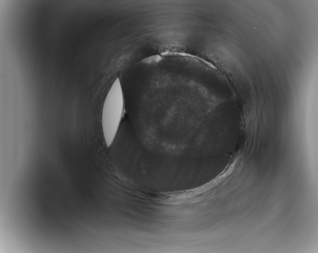 X0000093400041200711091349