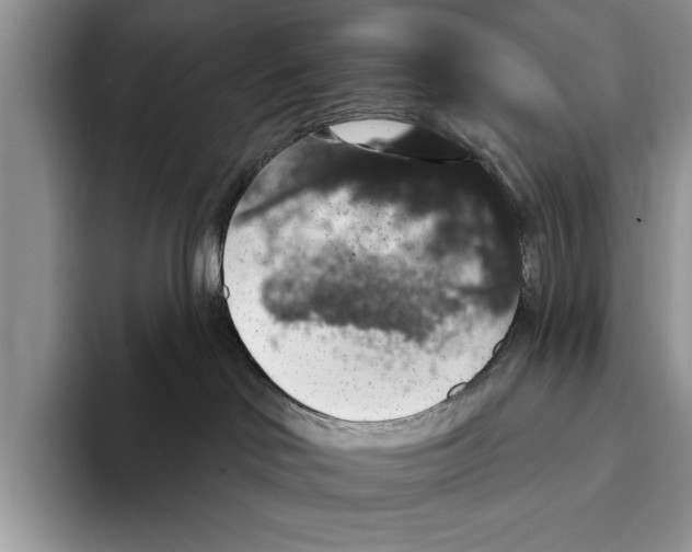 X0000093400046200711091349