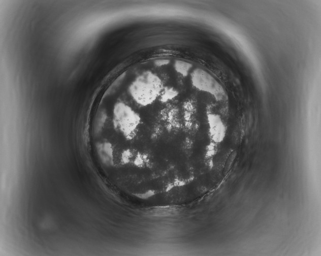 X0000093400050200711091348