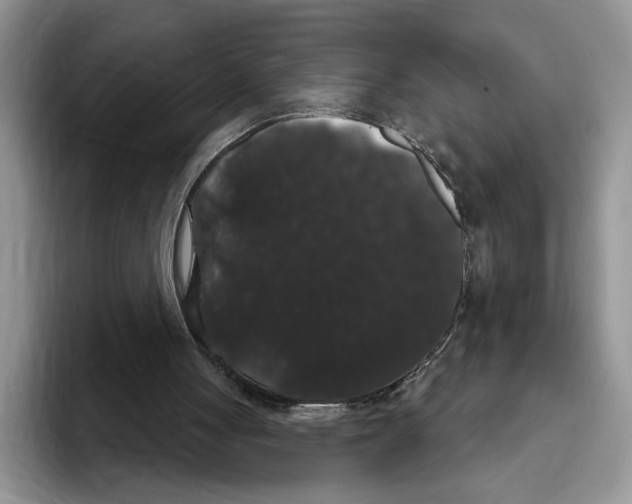 X0000093400051200711091348