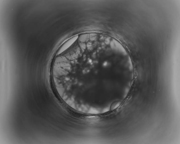 X0000093400053200711091348