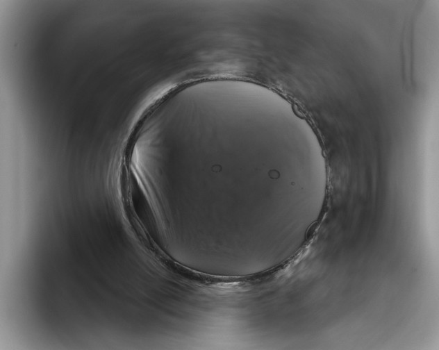 X0000093400054200711091348