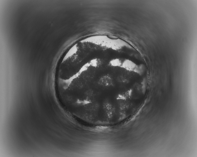 X0000093400055200711091348