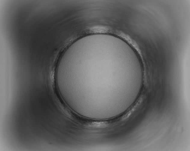 X0000093400057200711091348