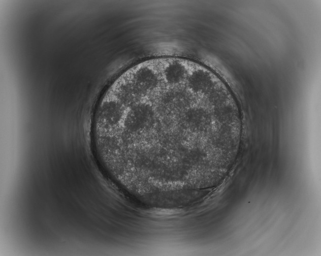 X0000093400058200711091348