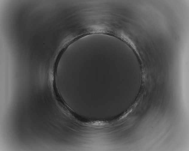 X0000093400059200711091348