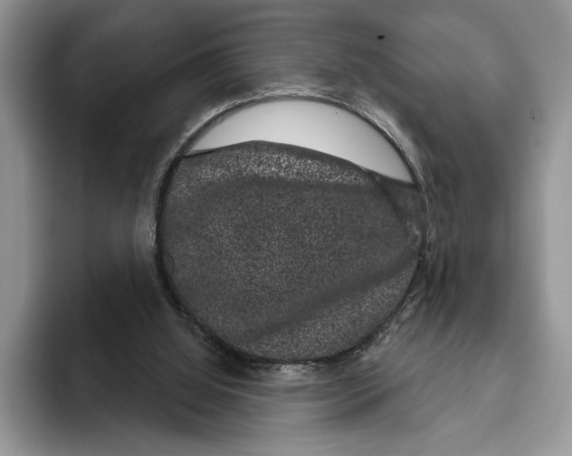 X0000093400060200711091348