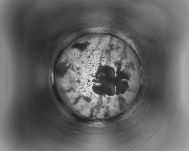 X0000093400061200711091348