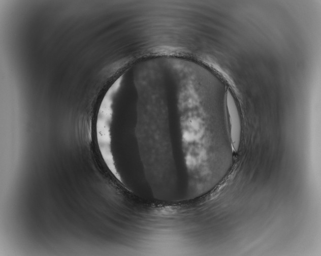 X0000093400062200711091348