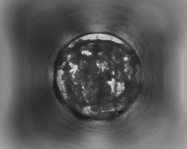 X0000093400063200711091348