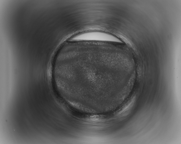 X0000093400064200711091348