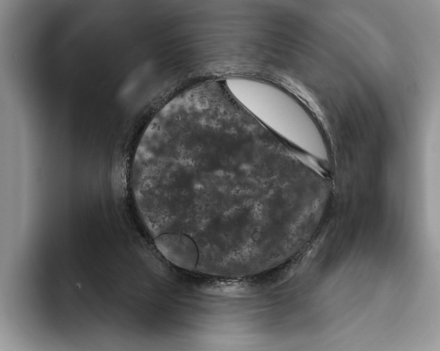 X0000093400065200711091348