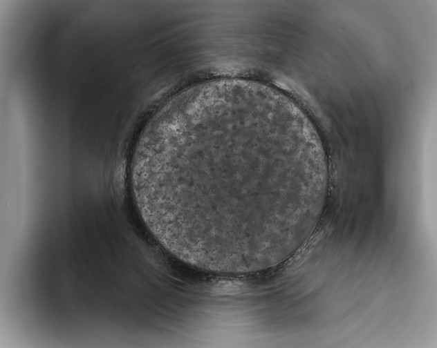 X0000093400066200711091348