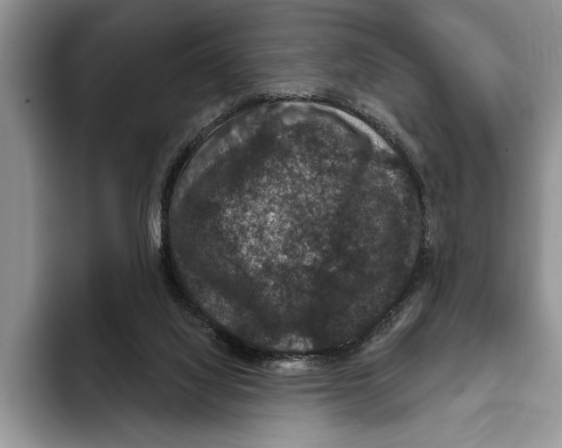 X0000093400068200711091348