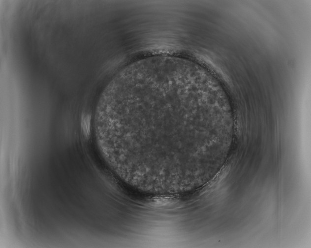 X0000093400070200711091349