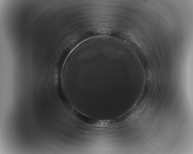 X0000093400080200711091349