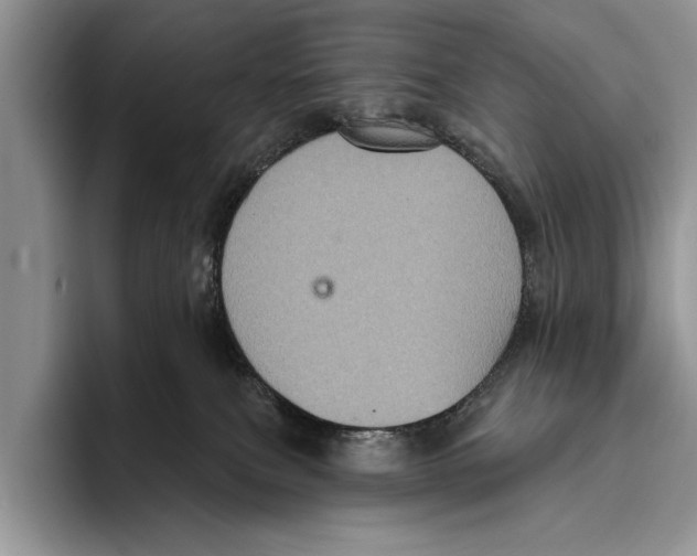 X0000093400087200711091349