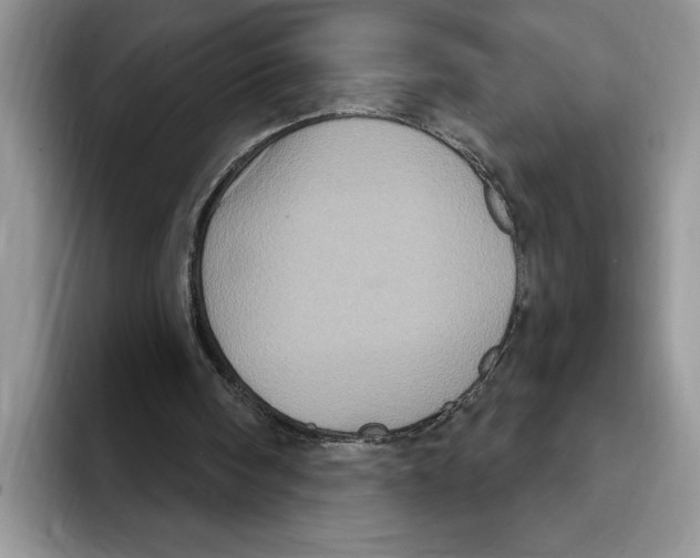 X0000093400098200711091348