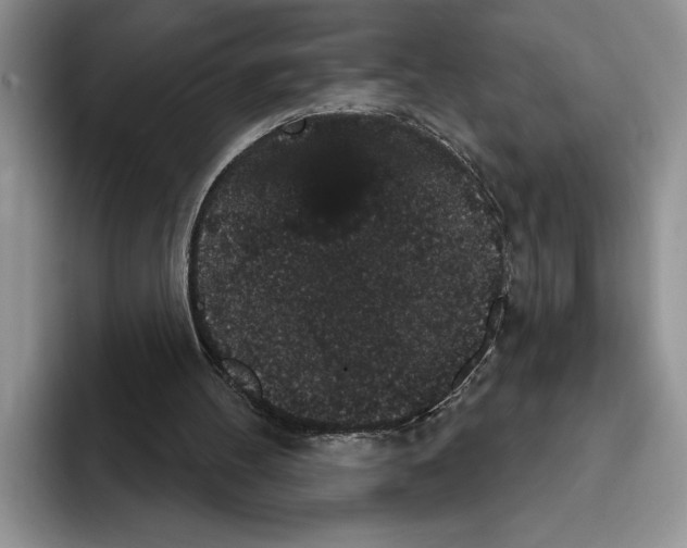 X0000093400100200711091348