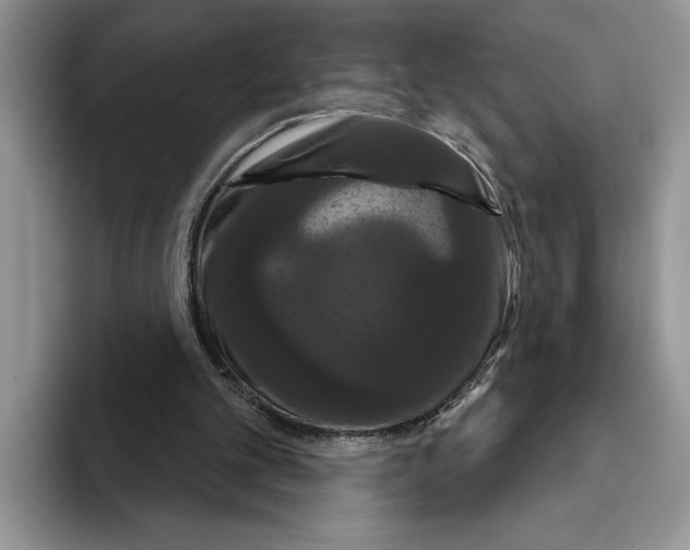 X0000093400101200711091348