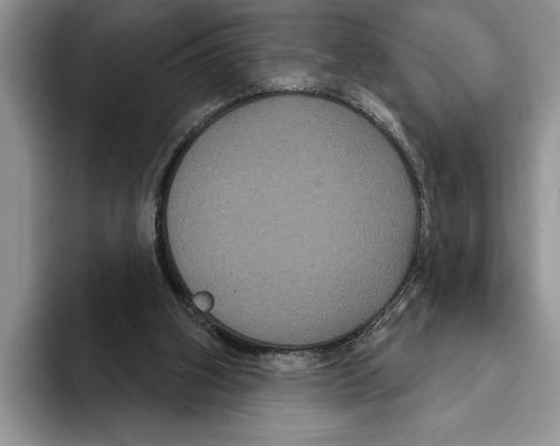 X0000093400106200711091348