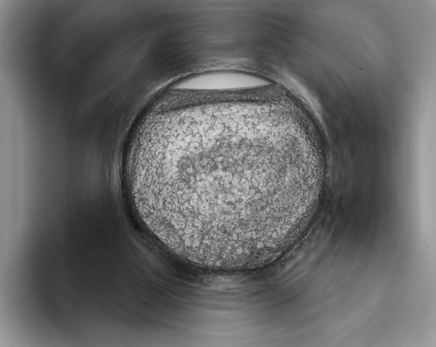 X0000093400107200711091348