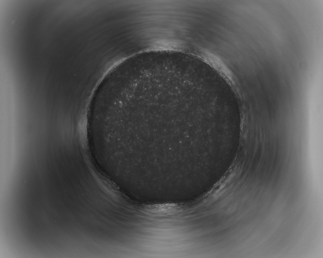 X0000093400108200711091348