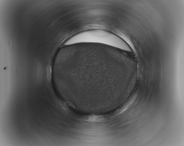 X0000093400109200711091348