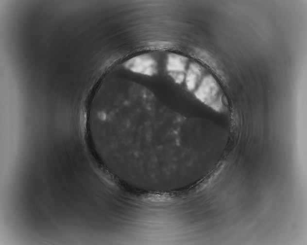 X0000093400110200711091348