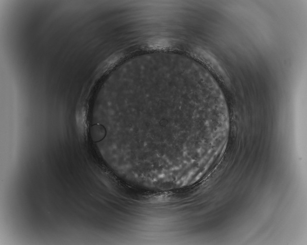 X0000093400116200711091348